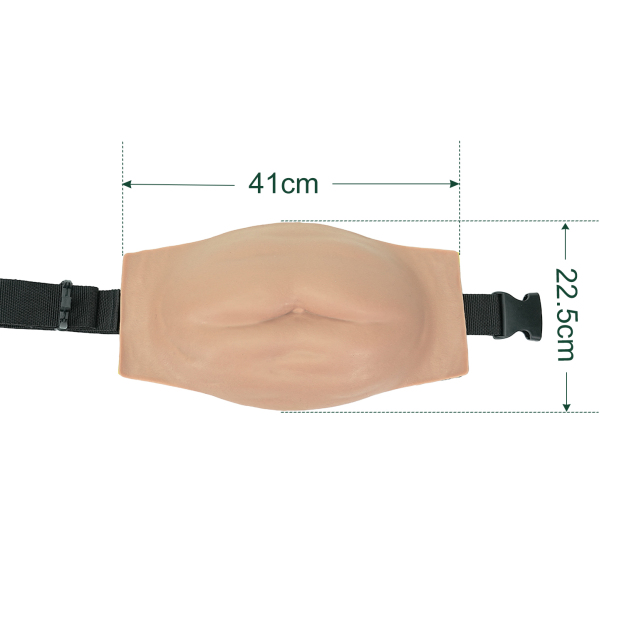 The Product Size of Injection Training Abdominal Simulator