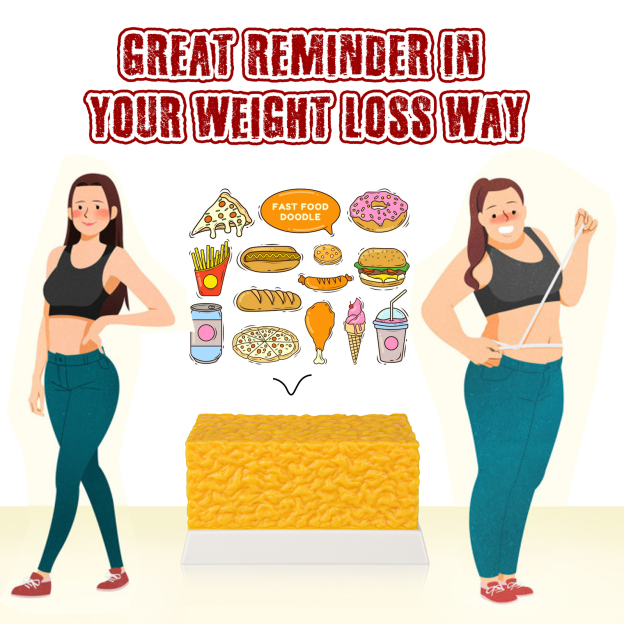 Realistic 5 Pounds Human Fat Replica Model