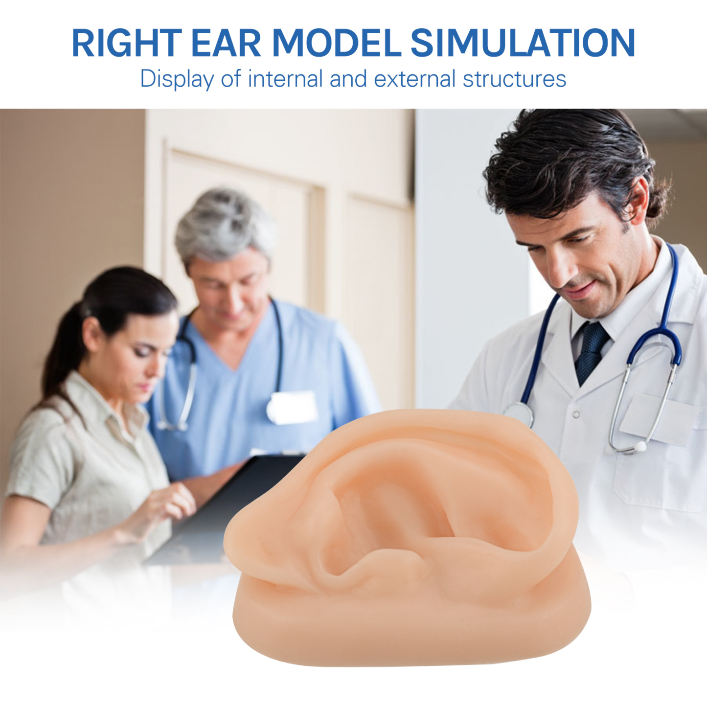 SimCoach Acupuncture Ear Model, Right Artificial Ear Replica for Auricular Therapy Teaching