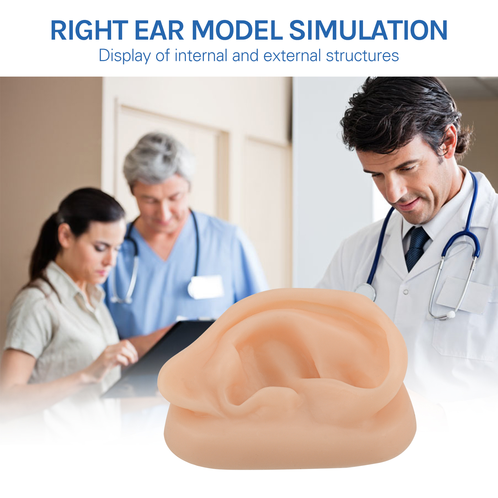 SimCoach Acupuncture Ear Model, Right Artificial Ear Replica for Auricular Therapy Teaching