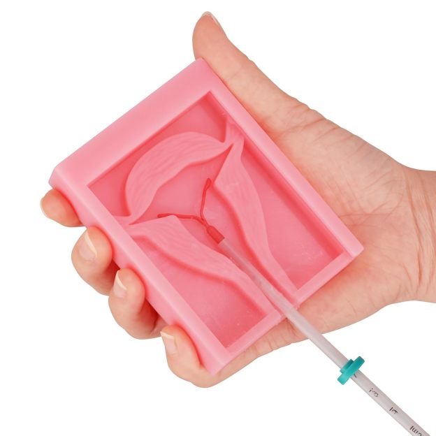 Basic IUD Training Model, Rectangular-shaped