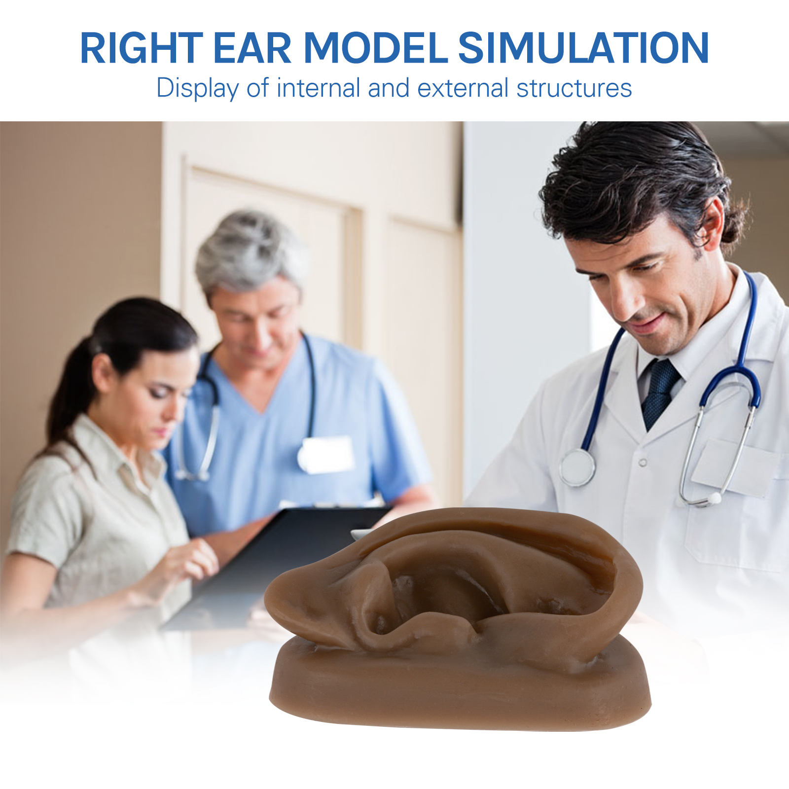 SimCoach Acupuncture Ear Model, Right Artificial Ear Replica for Auricular Therapy Teaching