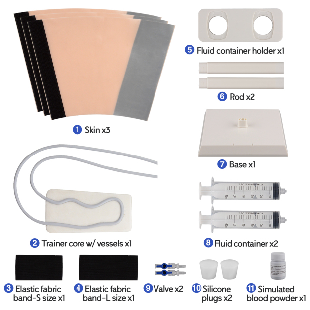 The Training Accessories in Phlebotomy and Venipuncture Practice Kit