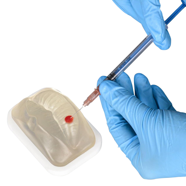 Injectable Filler Injection Training Model