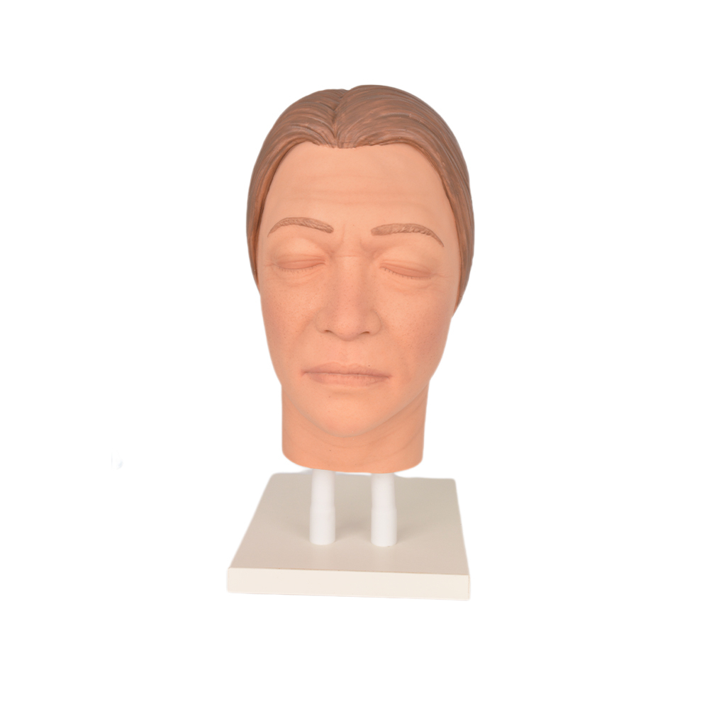 Female Facial Training Model Injection Practice Dual Stand