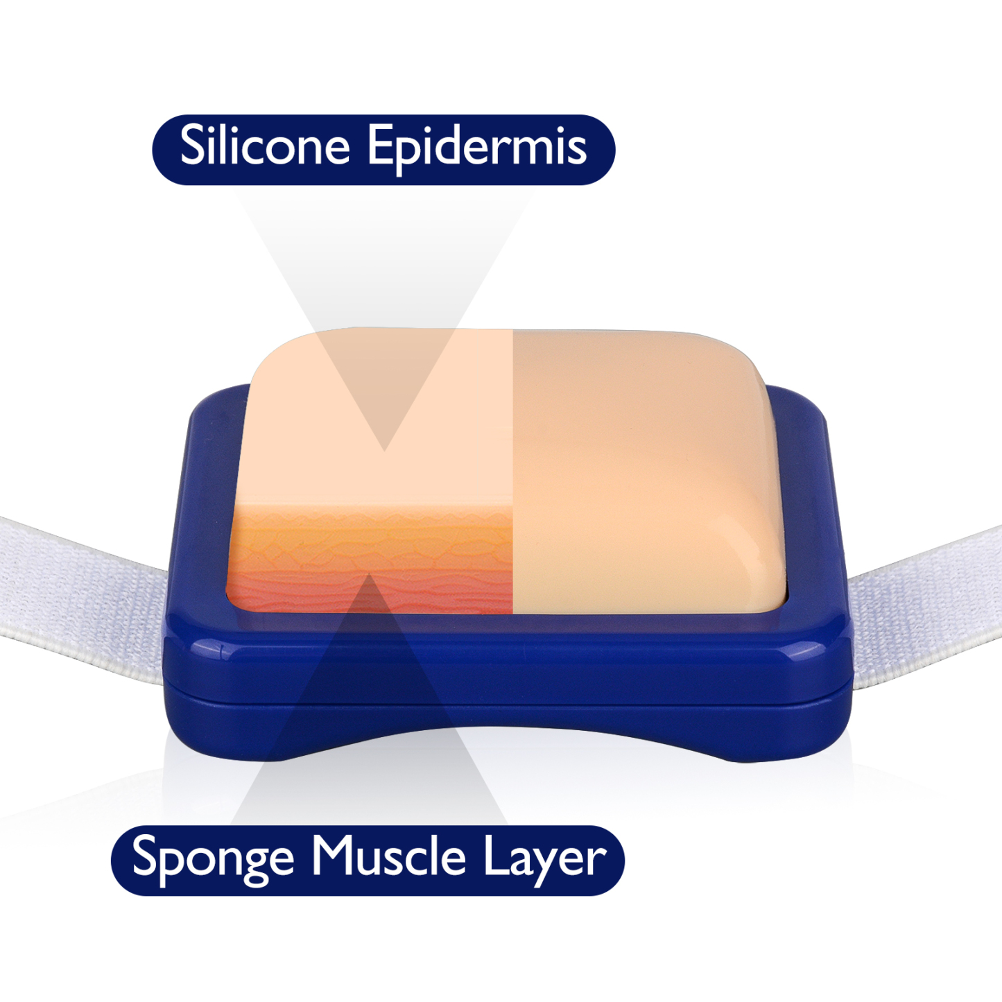 Muscle Injection Practice Pad