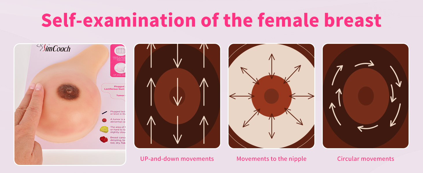Breast Self Exam Model Usage Instruction