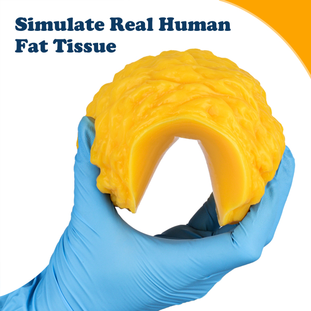 Soft And Lifelike Human Fat Texture Model