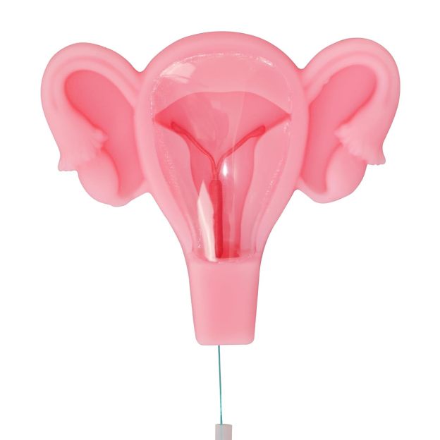 3D IUD Training Model