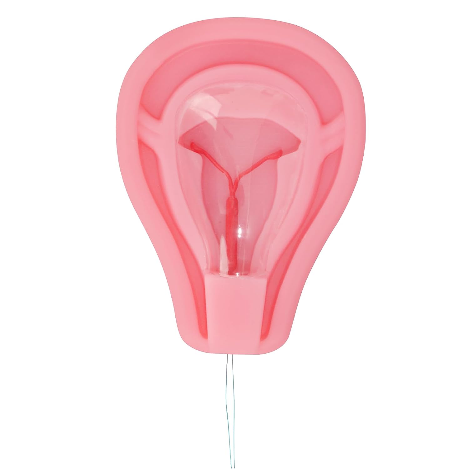 Basic Uterus-shaped IUD Training Tool