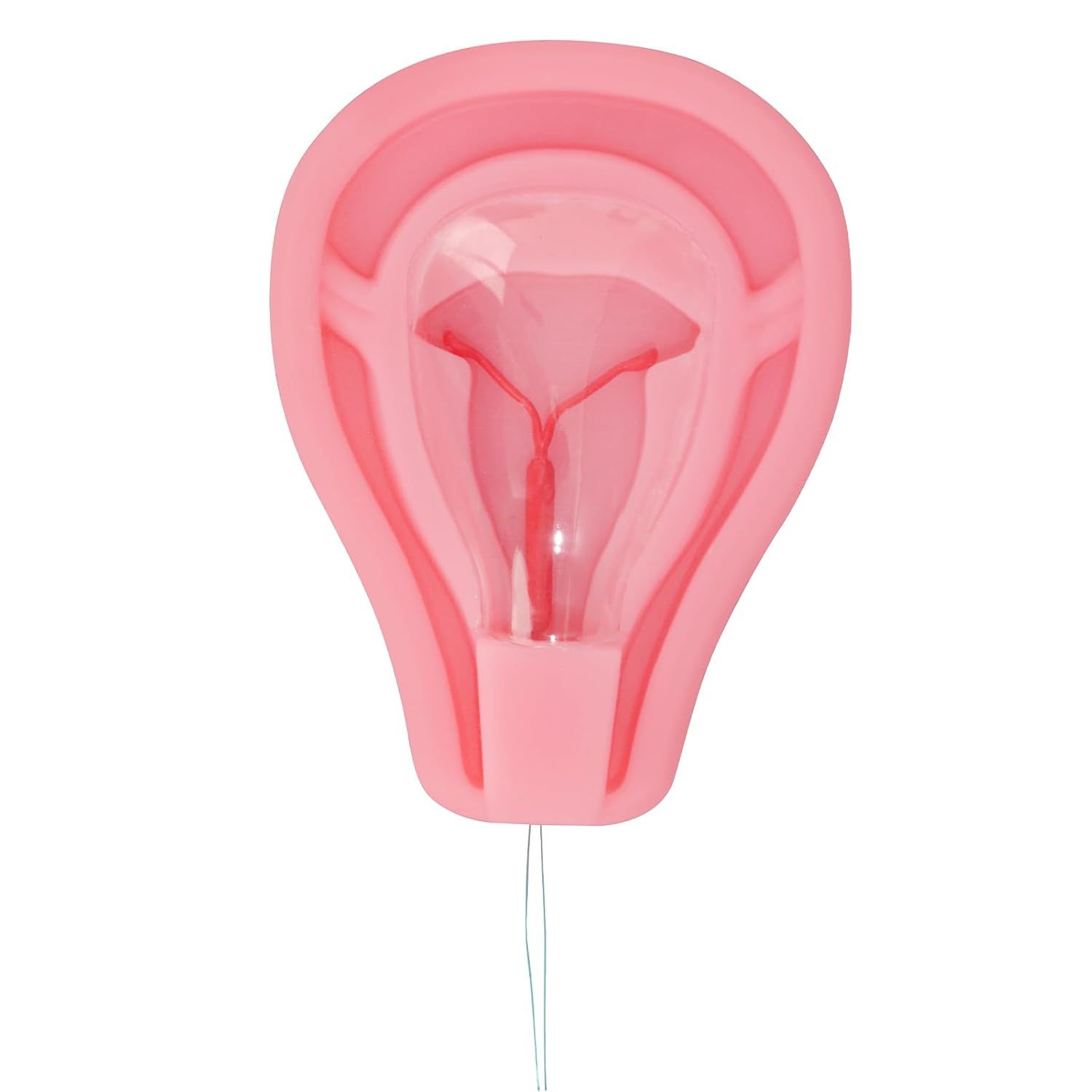 Basic Uterus-shaped IUD Training Tool