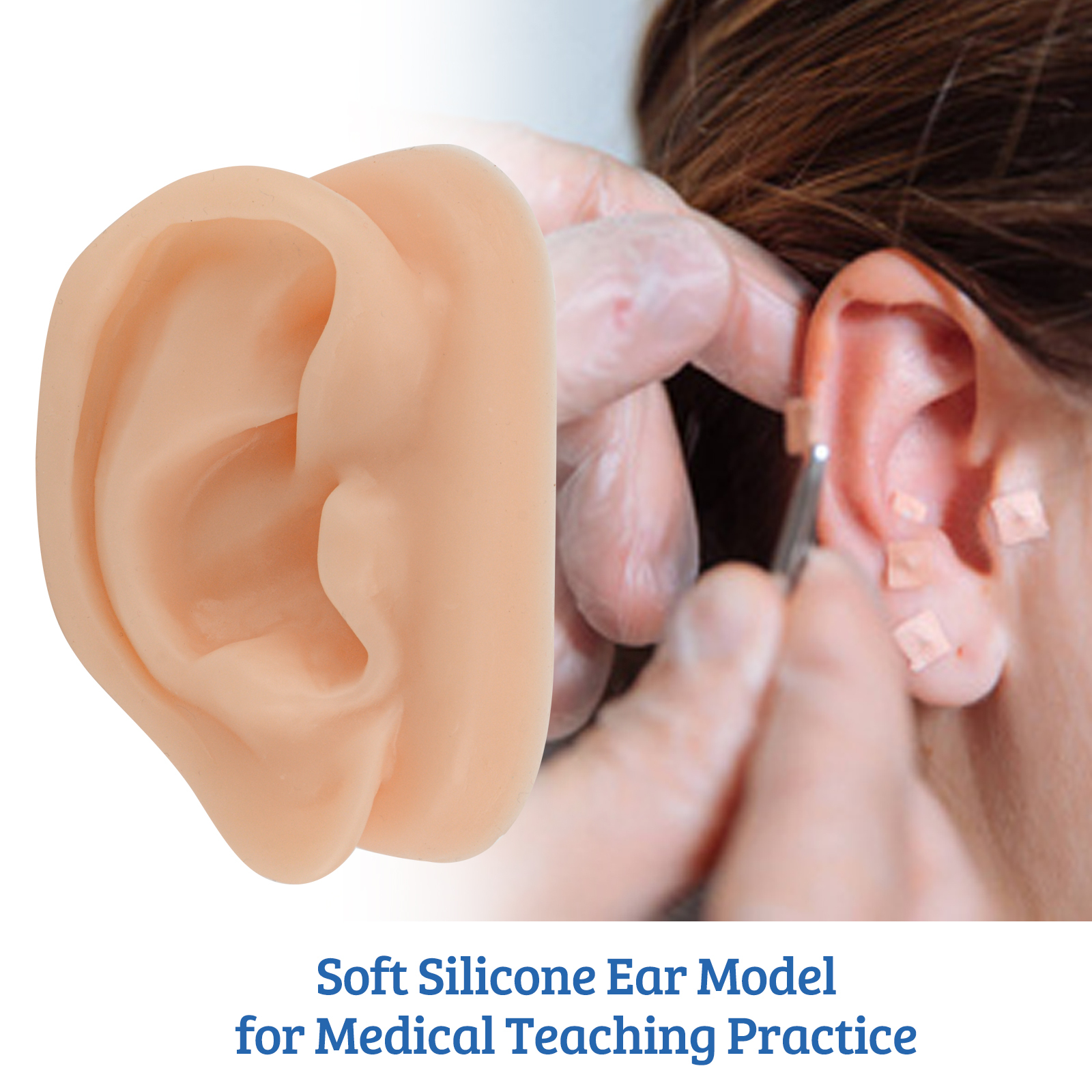 SimCoach Acupuncture Ear Model, Right Artificial Ear Replica for Auricular Therapy Teaching