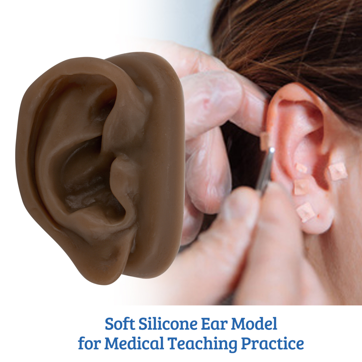 SimCoach Acupuncture Ear Model, Right Artificial Ear Replica for Auricular Therapy Teaching