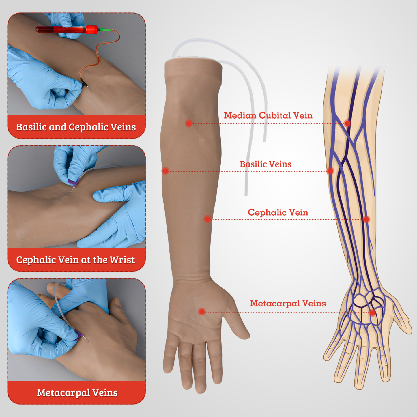 Intravenous Practice Arm with Correct Veins Replacement