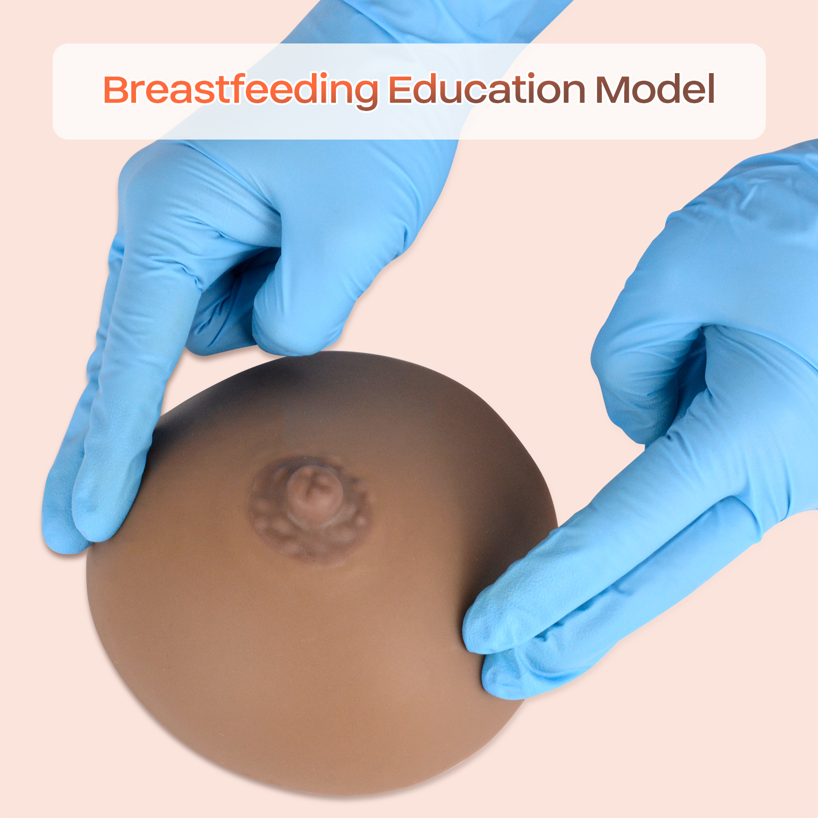 SimCoach Breastfeeding Education Fake Breast Model