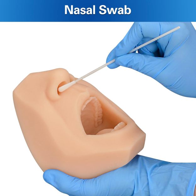 Close Up Of Nasal Swab Technique On Training Model