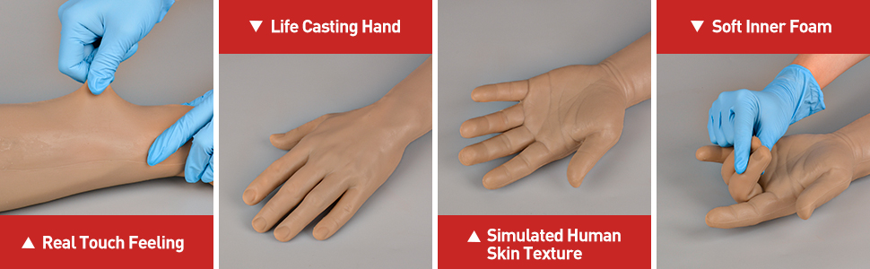 SimCoach Phlebotomy Practice Arm &ndash; Feature Overview