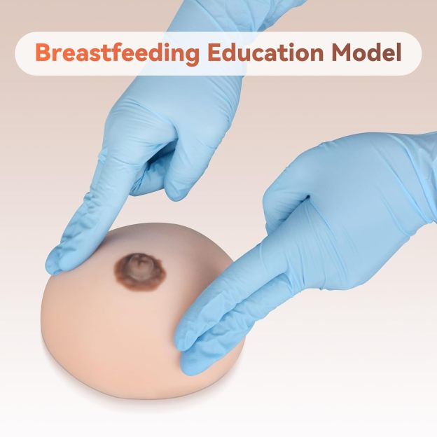 Lactation Education Breast Model For Nursing And Midwifery Training