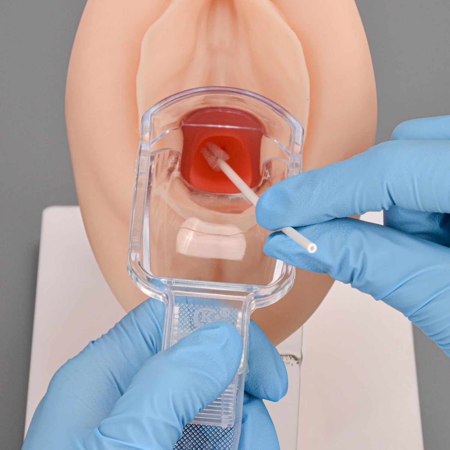 Cervical Sample Collection and Pap Smear Training Model