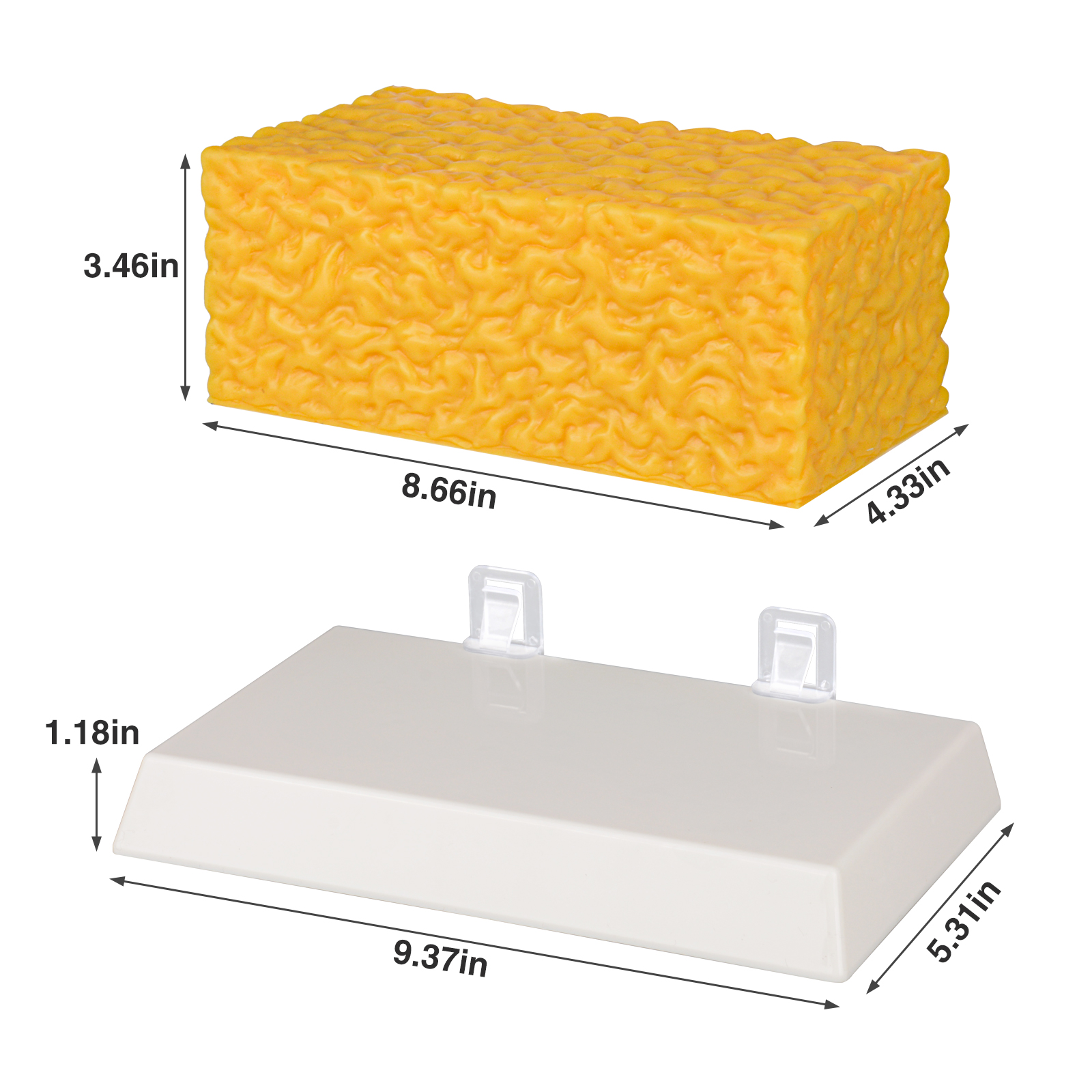 5 LB Fat Model Size Info