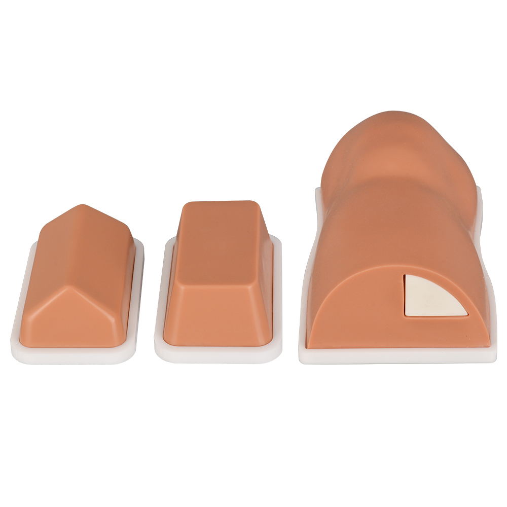 3 Types of Basic Intraosseous IO Injection Trainers