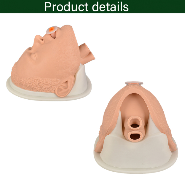 Life-Size Adult Intubation Head for EMS Training