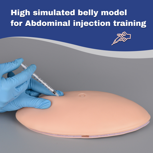 High Simulated Injection Training Belly Model