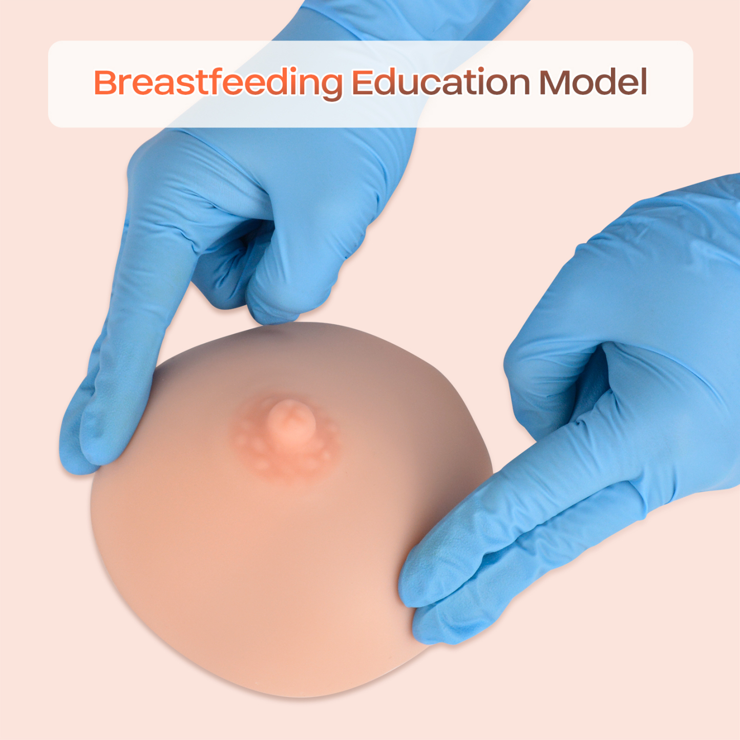 SimCoach Silicone Breast Education Model