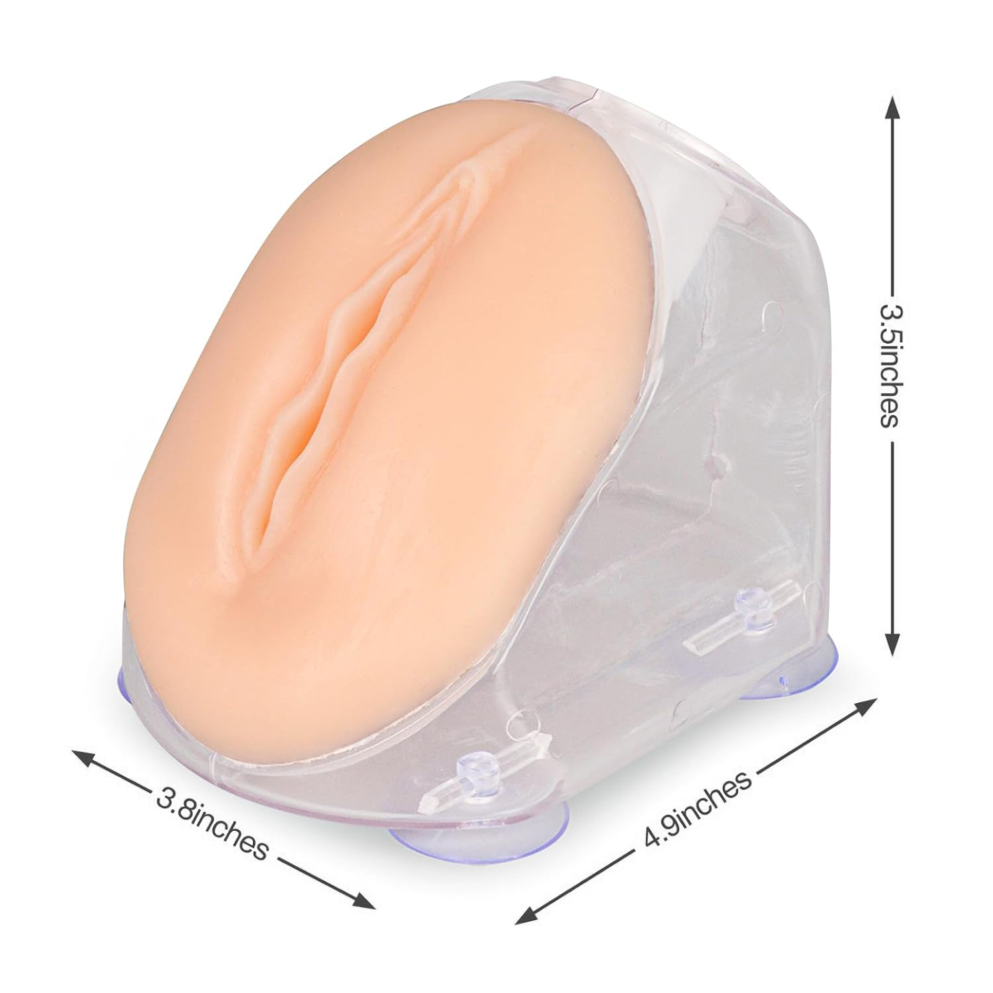 Female Urinary Catheterization Trainer