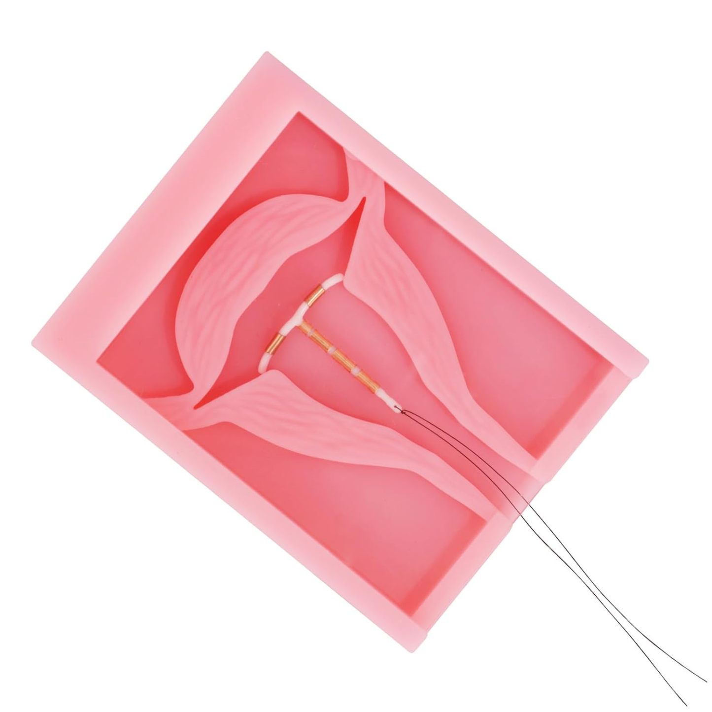 Basic IUD Training Model, Rectangular-shaped
