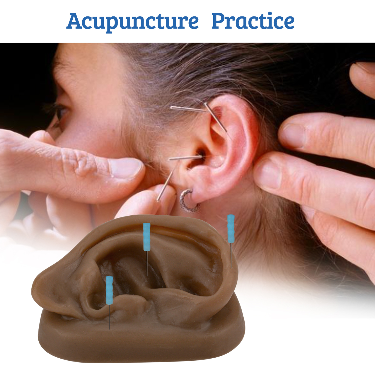 SimCoach Acupuncture Ear Model, Right Artificial Ear Replica for Auricular Therapy Teaching