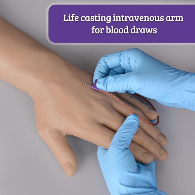 Life Casting Fake Arm for Phlebotomy and IV Training