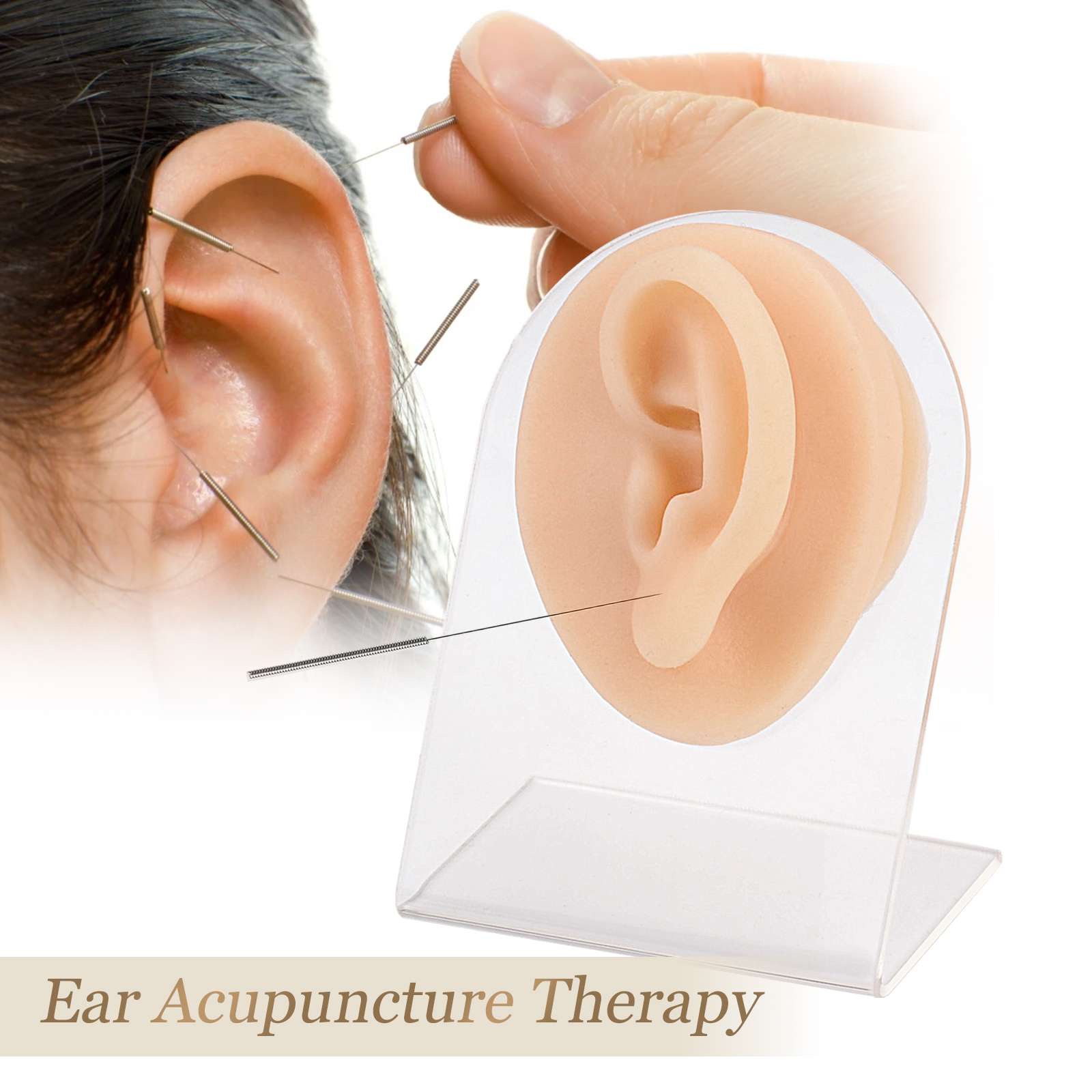 Ear Piercing Training Models, 1 Pair