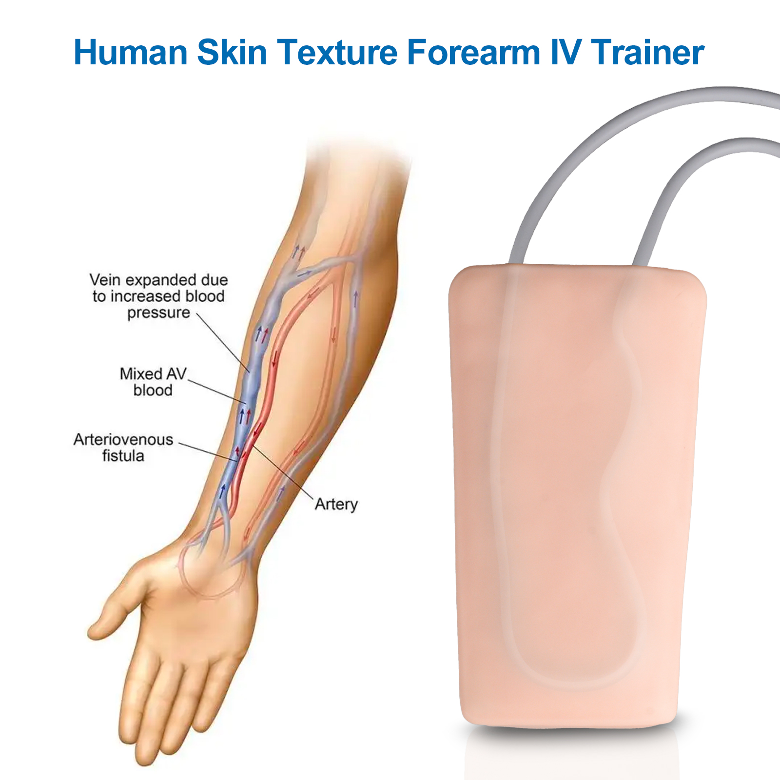 IV Practice Pad with 2 Veins