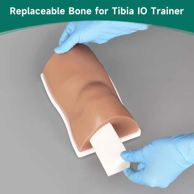 Tibia IO Access Model Replaceable Bone Core Guide