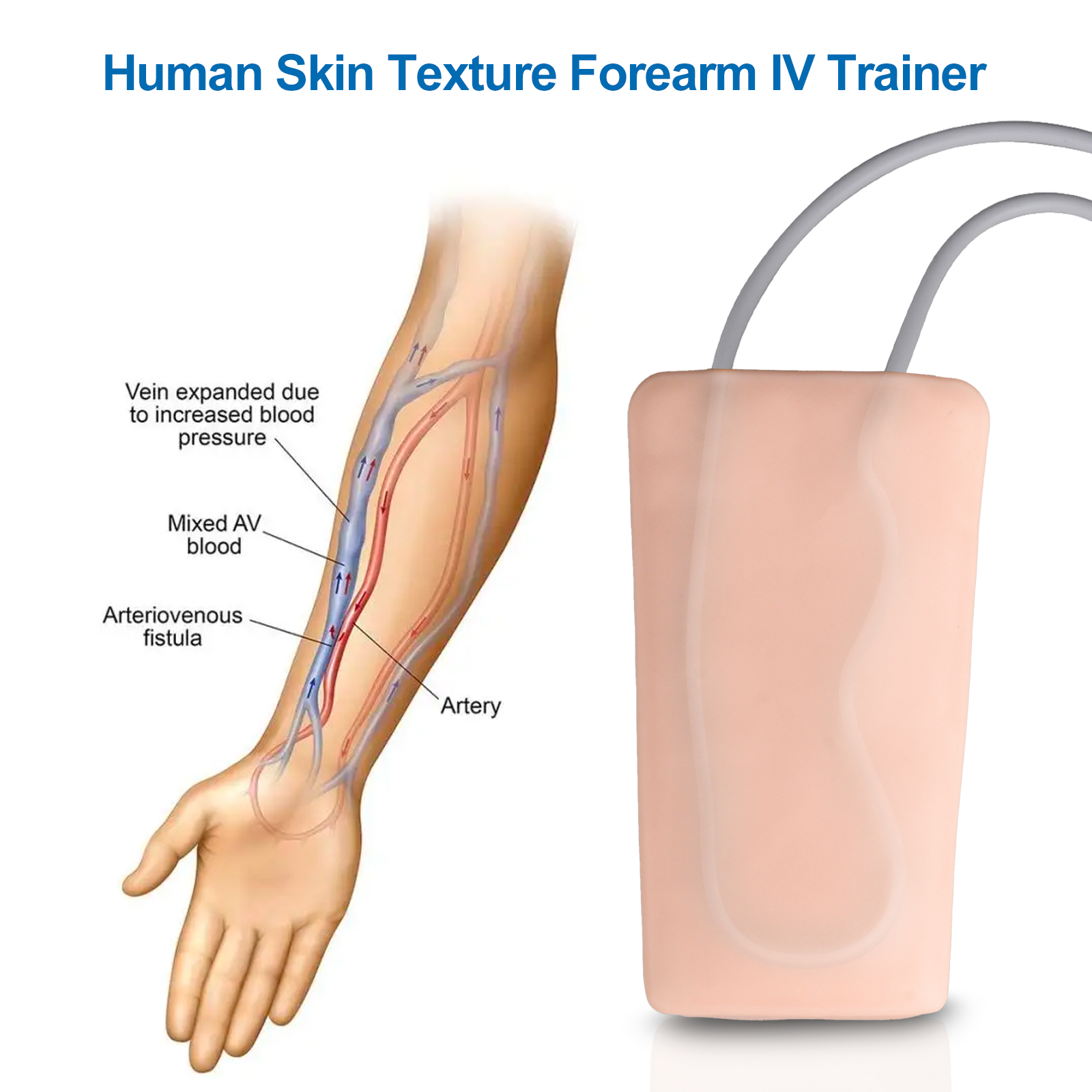 IV Practice Pad with 2 Veins