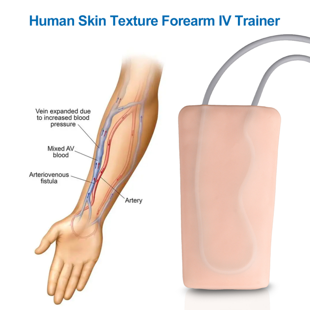 IV Practice Pad with 2 Veins