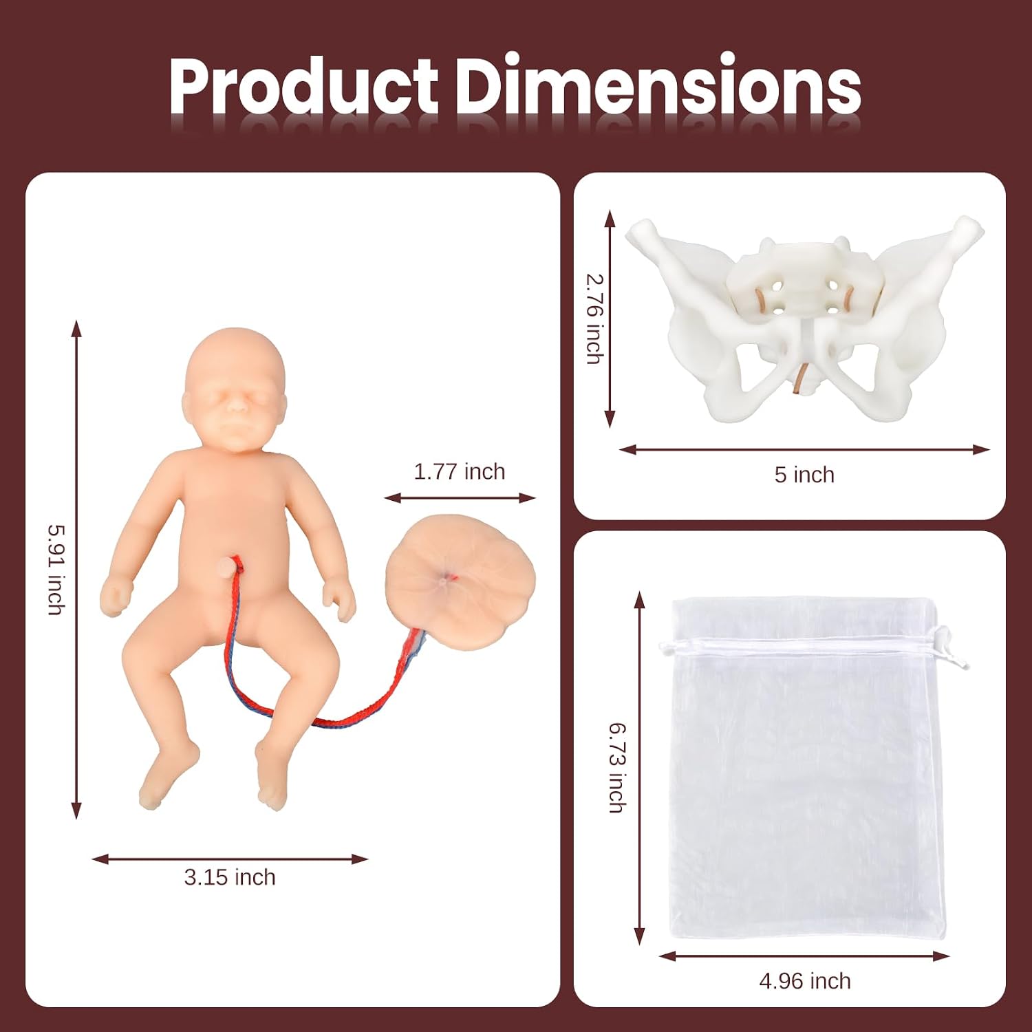 Mini Childbirth Education Model with Female Pelvis and Fetal Baby