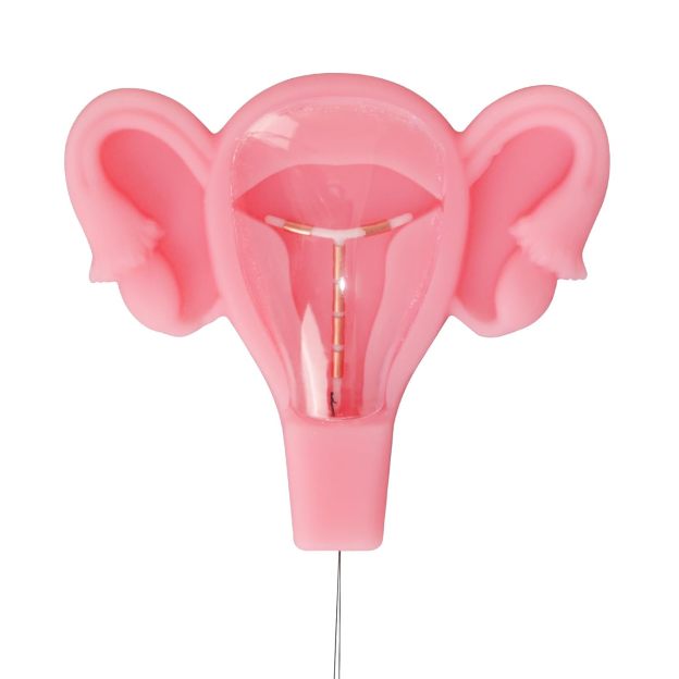 3D IUD Training Model