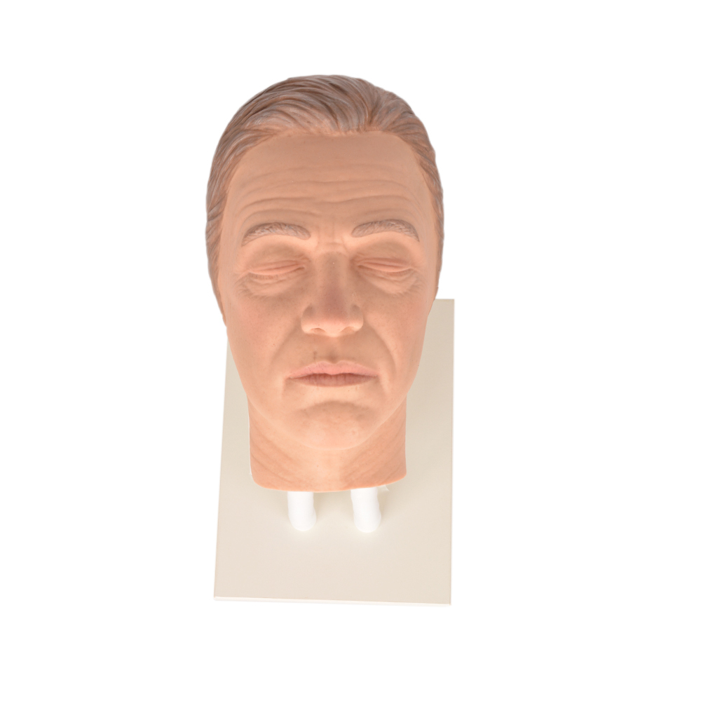 Male Facial Mannequin for Injection Training Dual Tube Stand