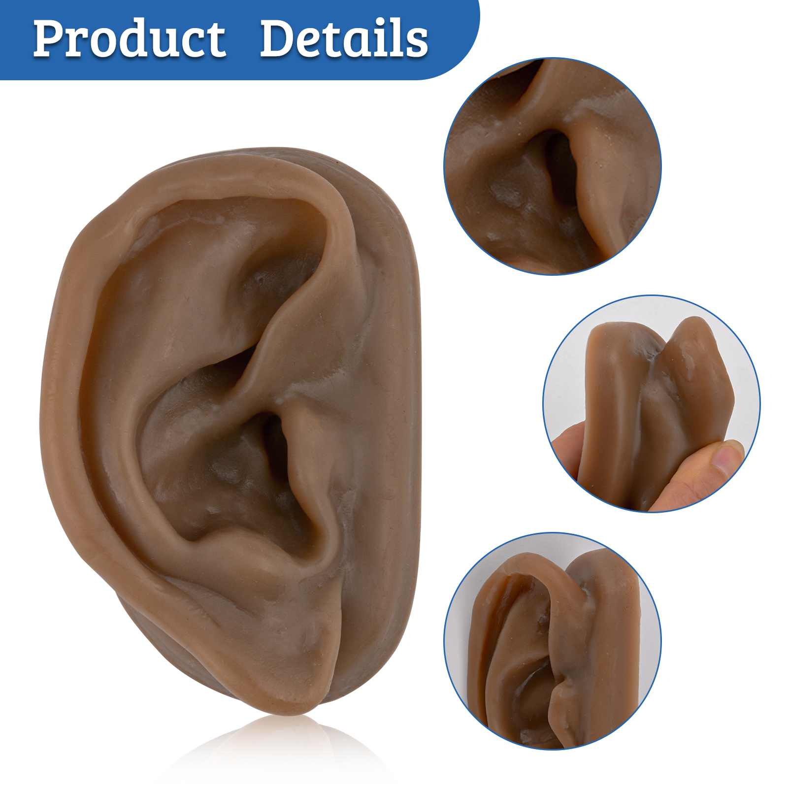 SimCoach Acupuncture Ear Model, Right Artificial Ear Replica for Auricular Therapy Teaching