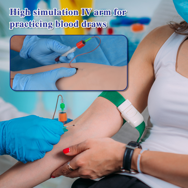 Fake Arm for IV Practice & Blood Draw
