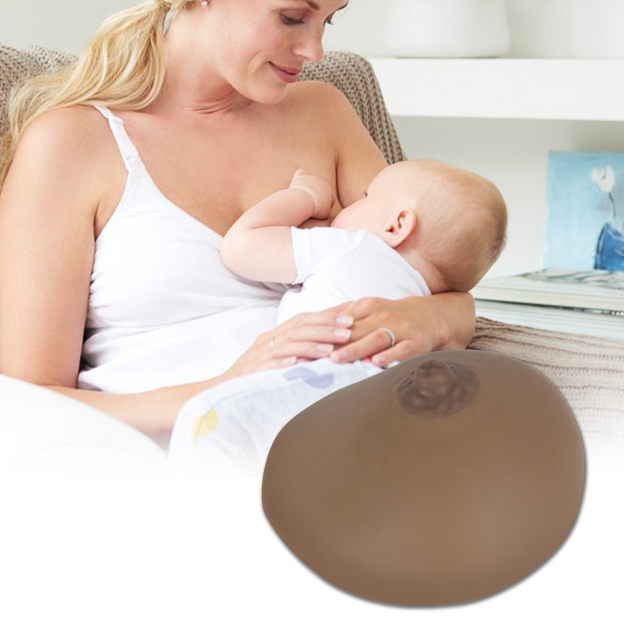 SimCoach Artificial Breast for Breastfeeding