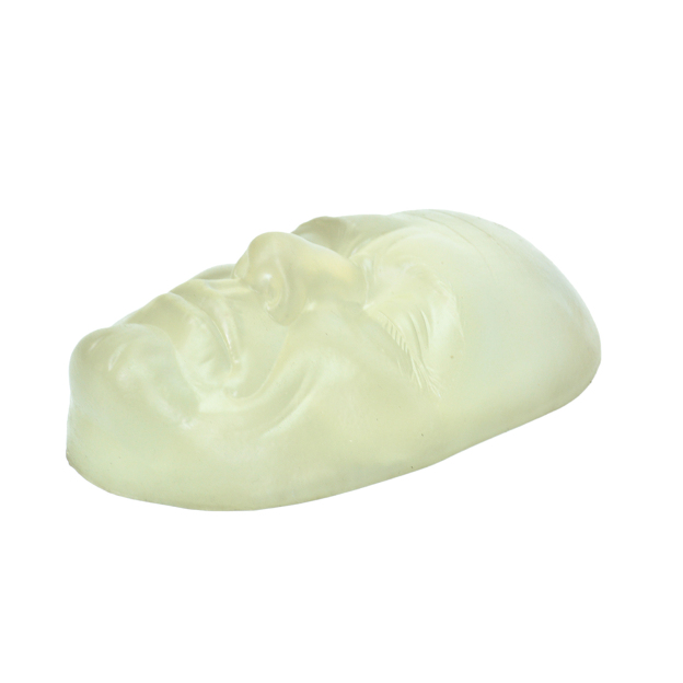 Reusable Transparent Face Injection Training Mannequin