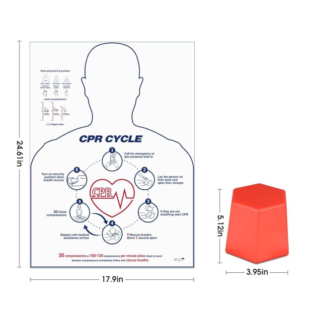 The Size Info of CPR Training Model and Mat