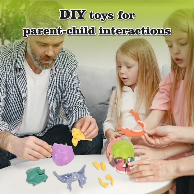 DIY Anatomy Skull Model for Interactive Learning Fun