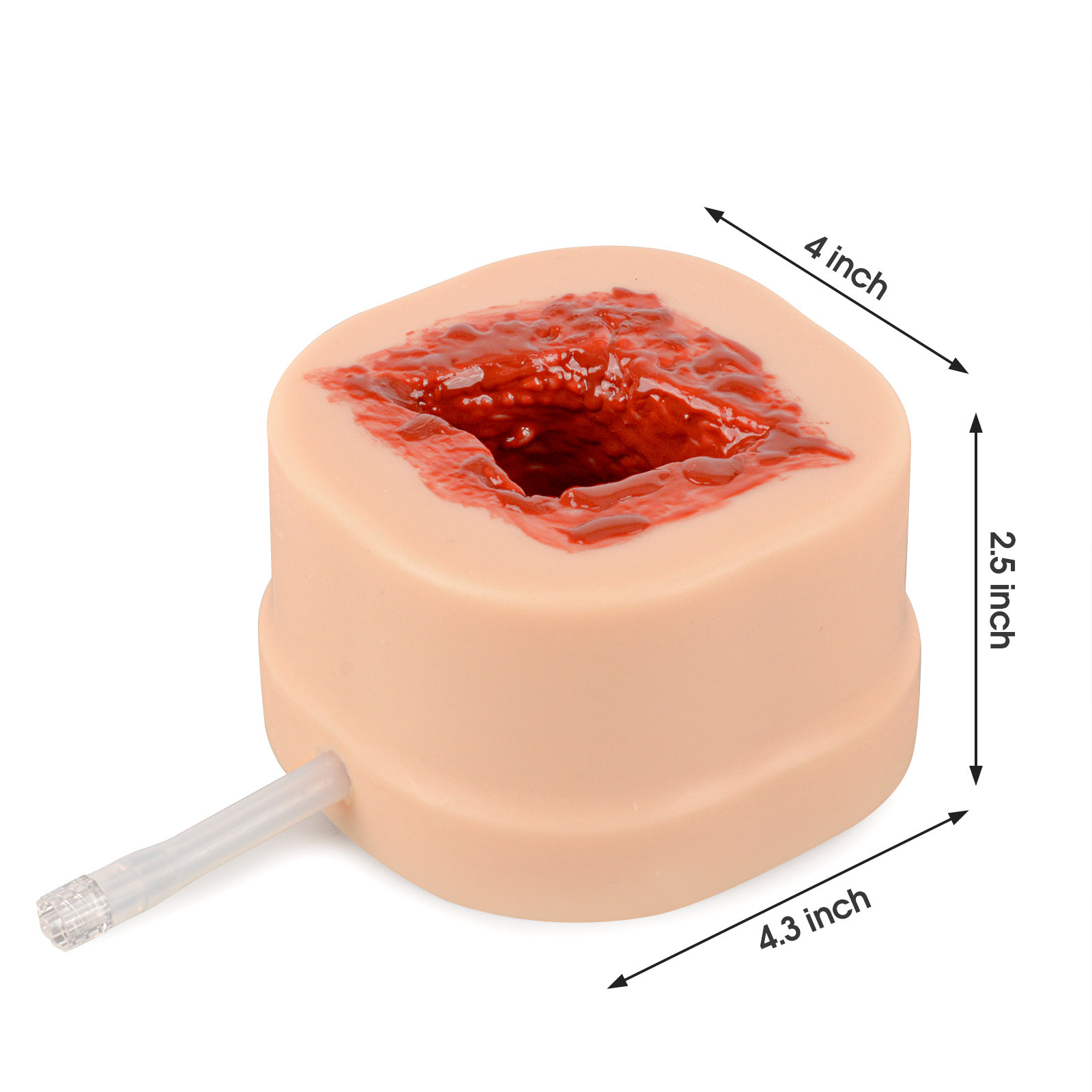 Deep and Wide Open Wound Packing Trainer