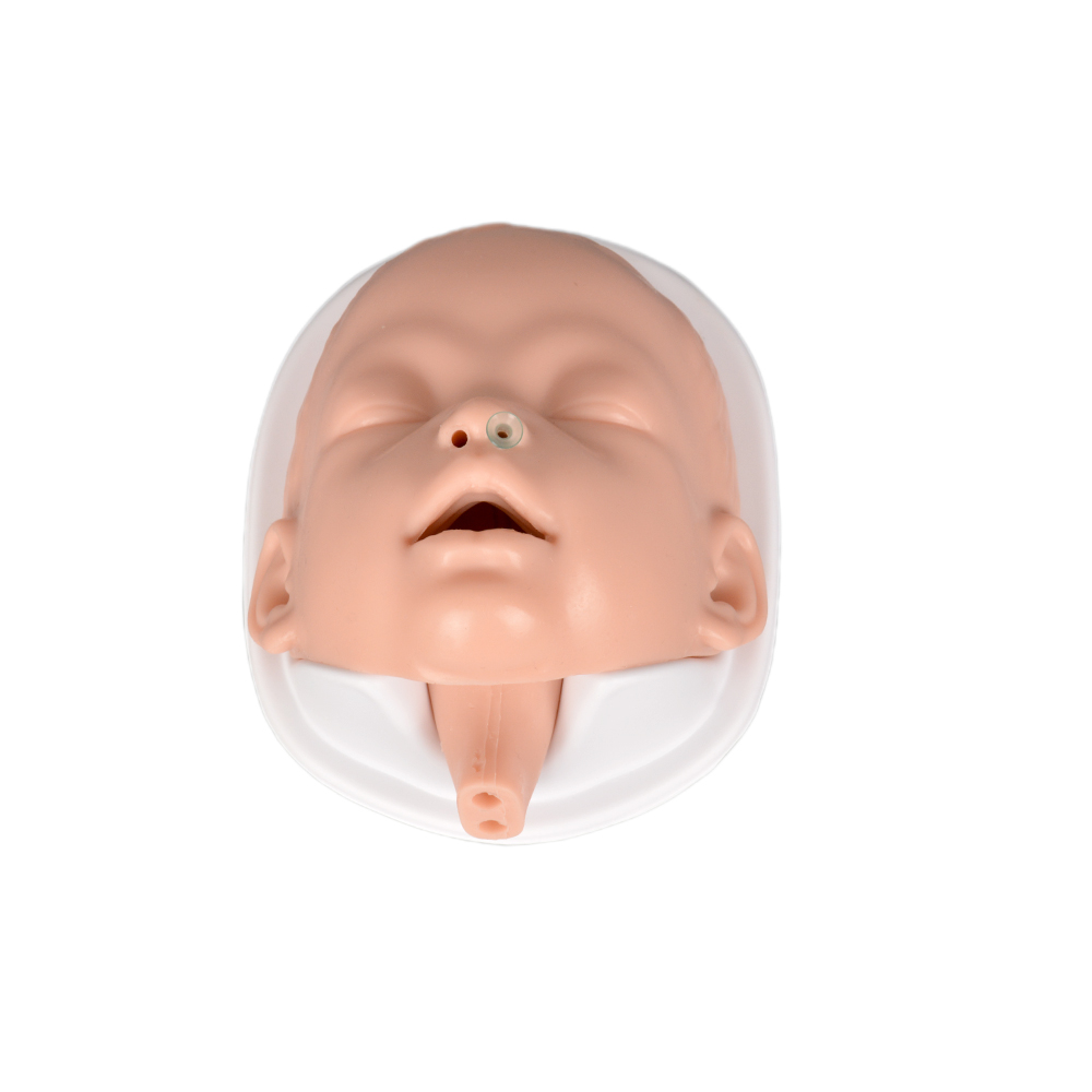 Infant Intubation Mannequin Head for NPA Practice