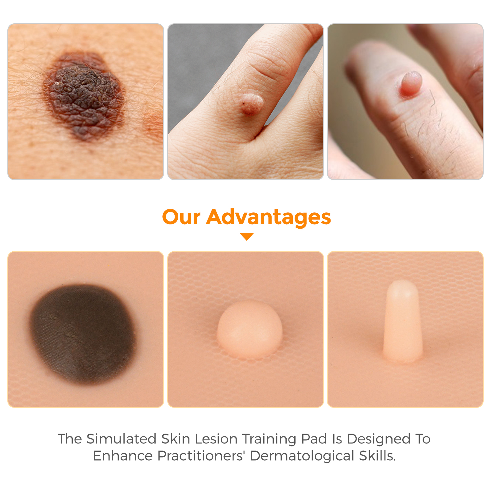 Medical Training Pad for Biopsy Techniques