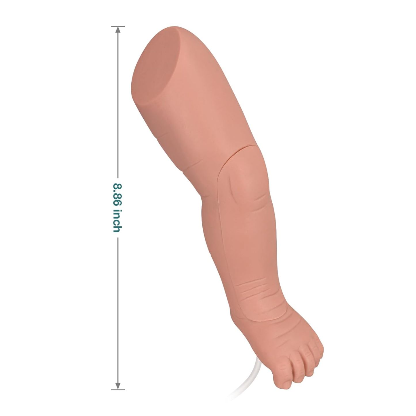 The Size Info of  Infant IO Access Training Leg Model